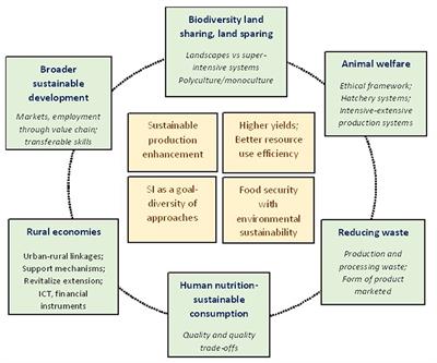 Sustainable intensification of small-scale mariculture systems: Farm-level insights from the coastal regions of India